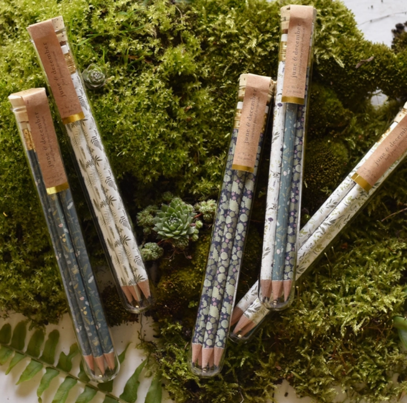 Pencil Terrarium, Set of 5 Pencils