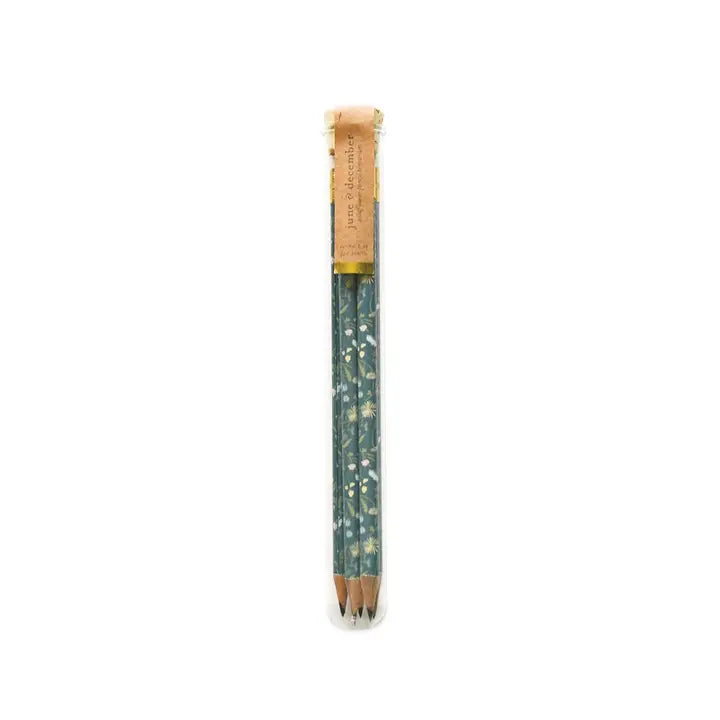 Pencil Terrarium, Set of 5 Pencils