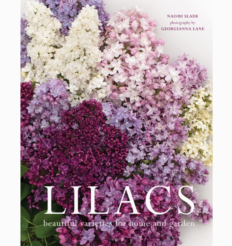Coffee Table Books