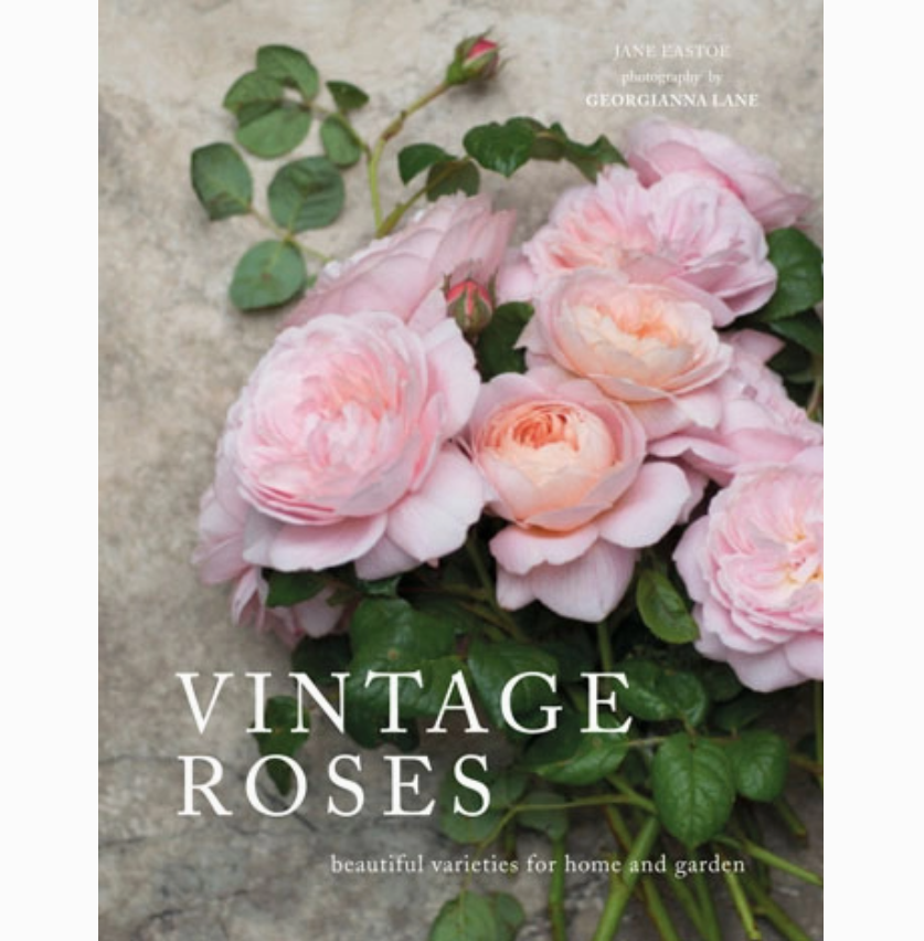 Coffee Table Books