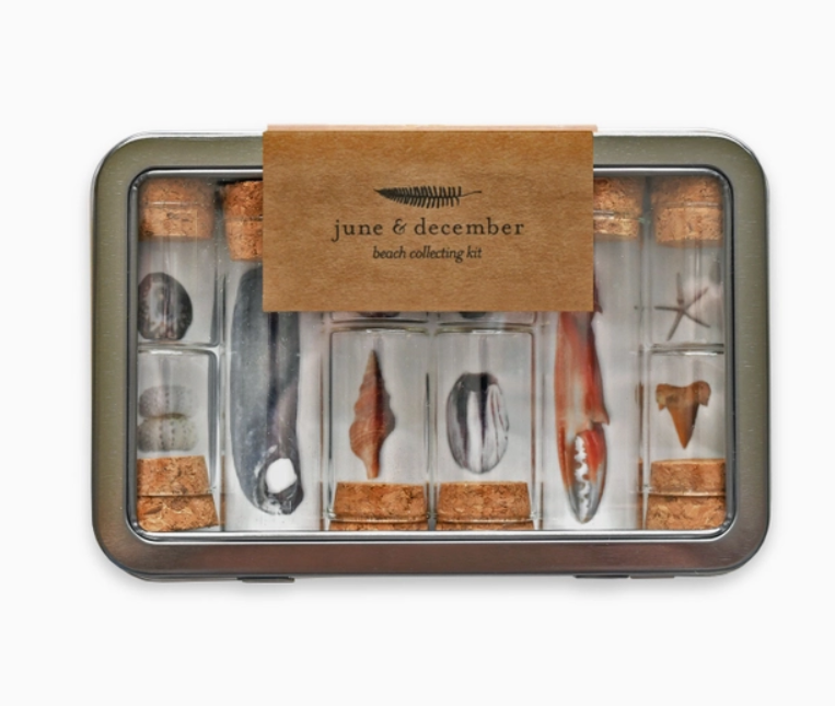 Beach Collecting Kit