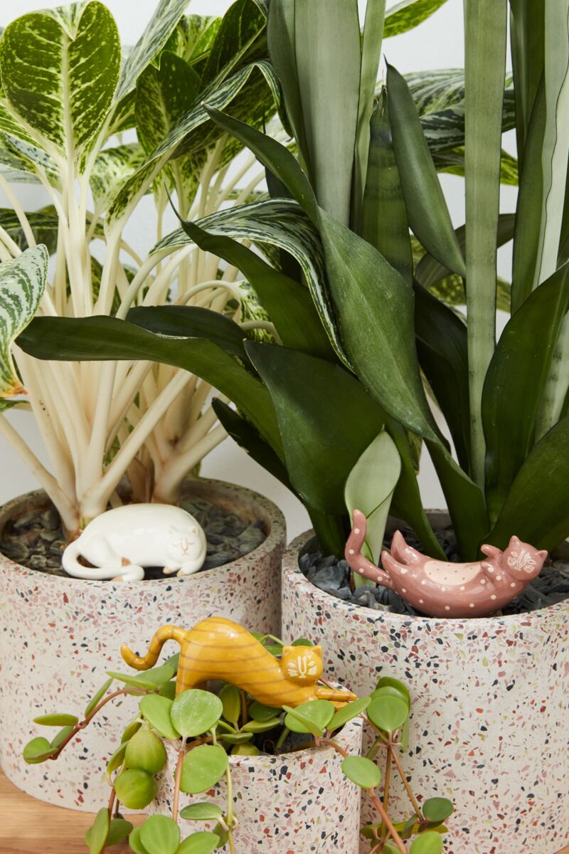 Various Ceramic Plant Sticks