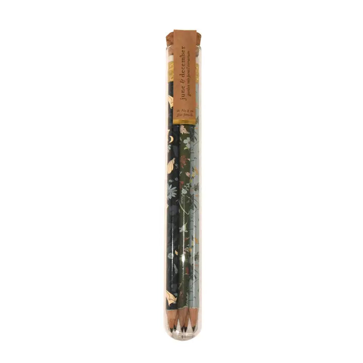 Pencil Terrarium, Set of 5 Pencils