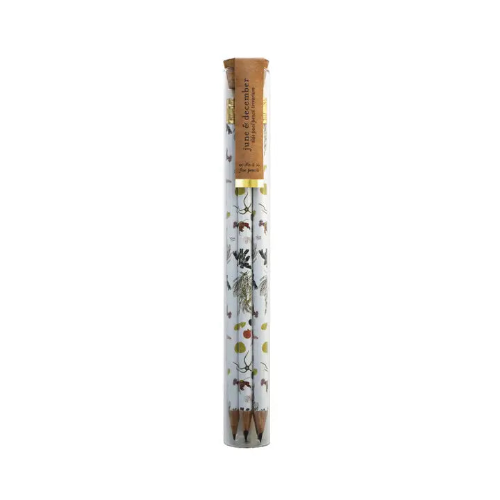 Pencil Terrarium, Set of 5 Pencils