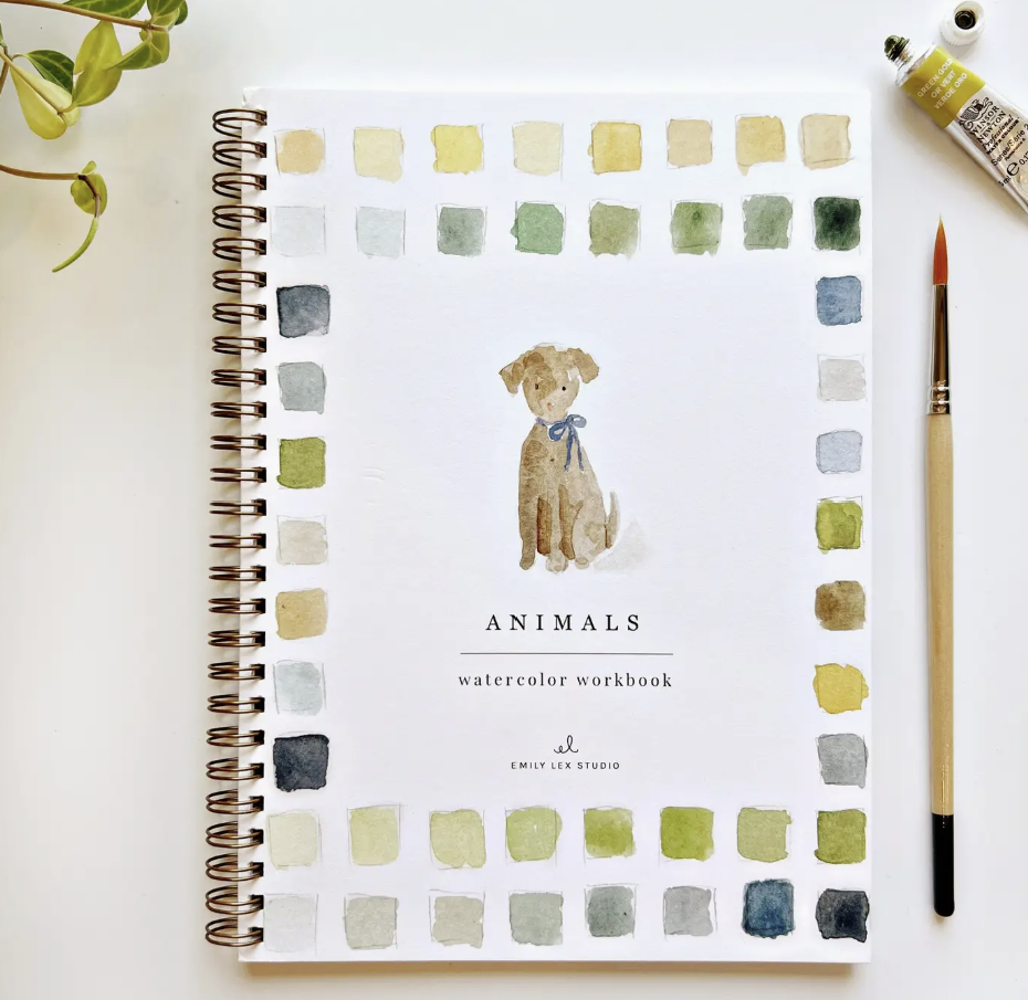 Watercolor Workbooks By Emily Lex