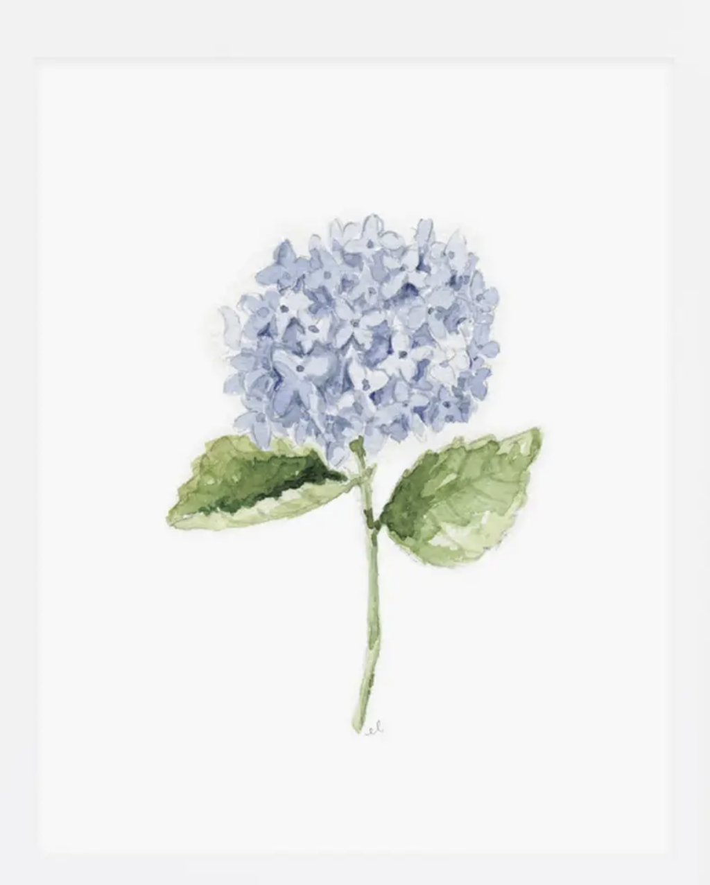 Watercolor Workbooks By Emily Lex