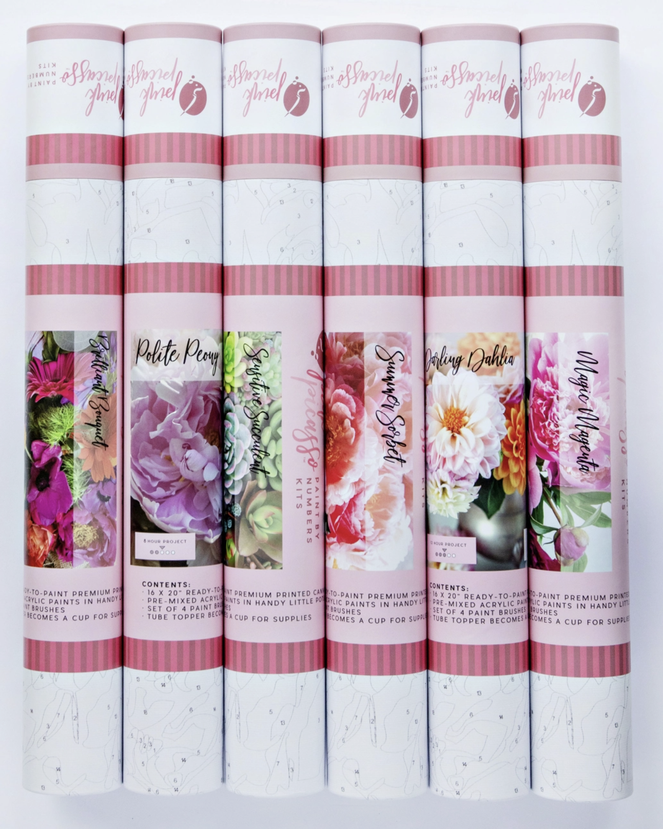 Pink Picasso Paint By Numbers