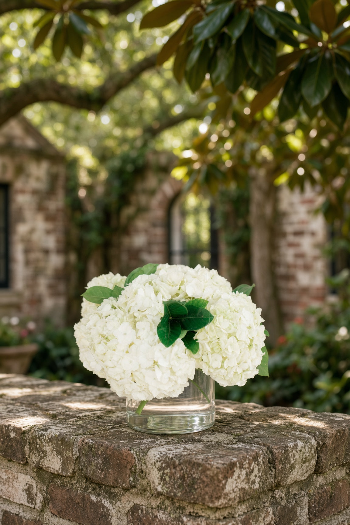 Classically Charleston - A Hydrangea Centerpiece
